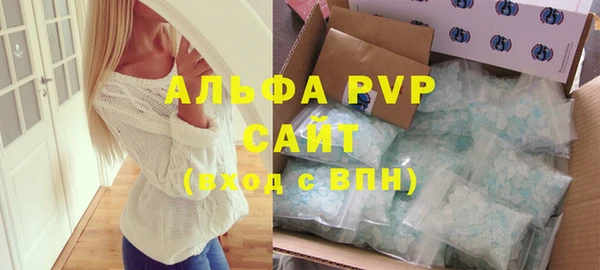 индика Арсеньев