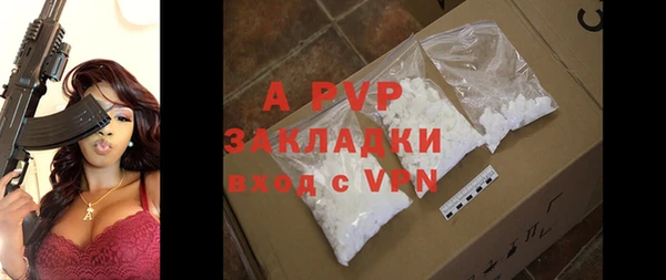 индика Арсеньев