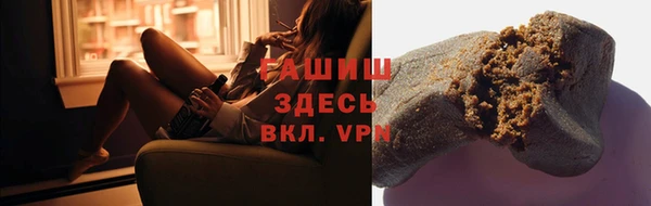 индика Арсеньев