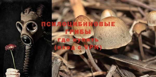 MESCALINE Аркадак
